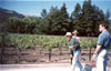 Landmark Vineyard